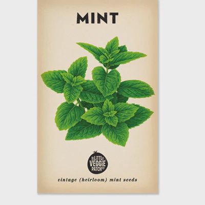 Share :      Mint 'Peppermint' Heirloom Seeds