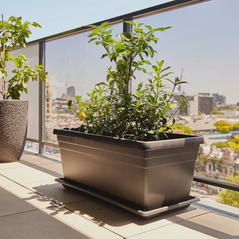 Rectangular Plastic Trough, Colour: Black