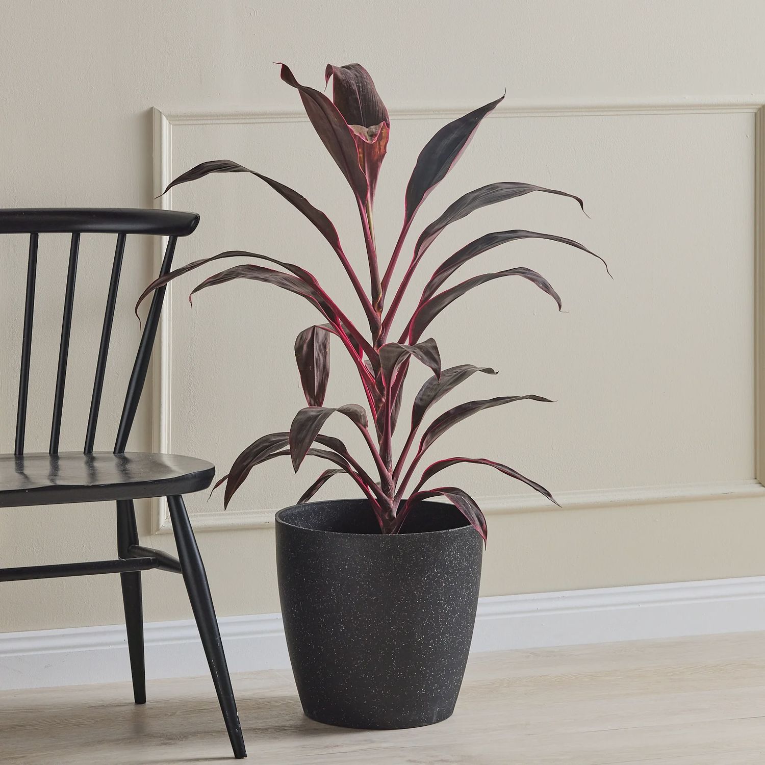 San Remo Egg Pot - 33cm