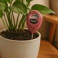 Indoor Moisture Meter - Dusty Rose