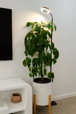 Indoor Grow Light Stand