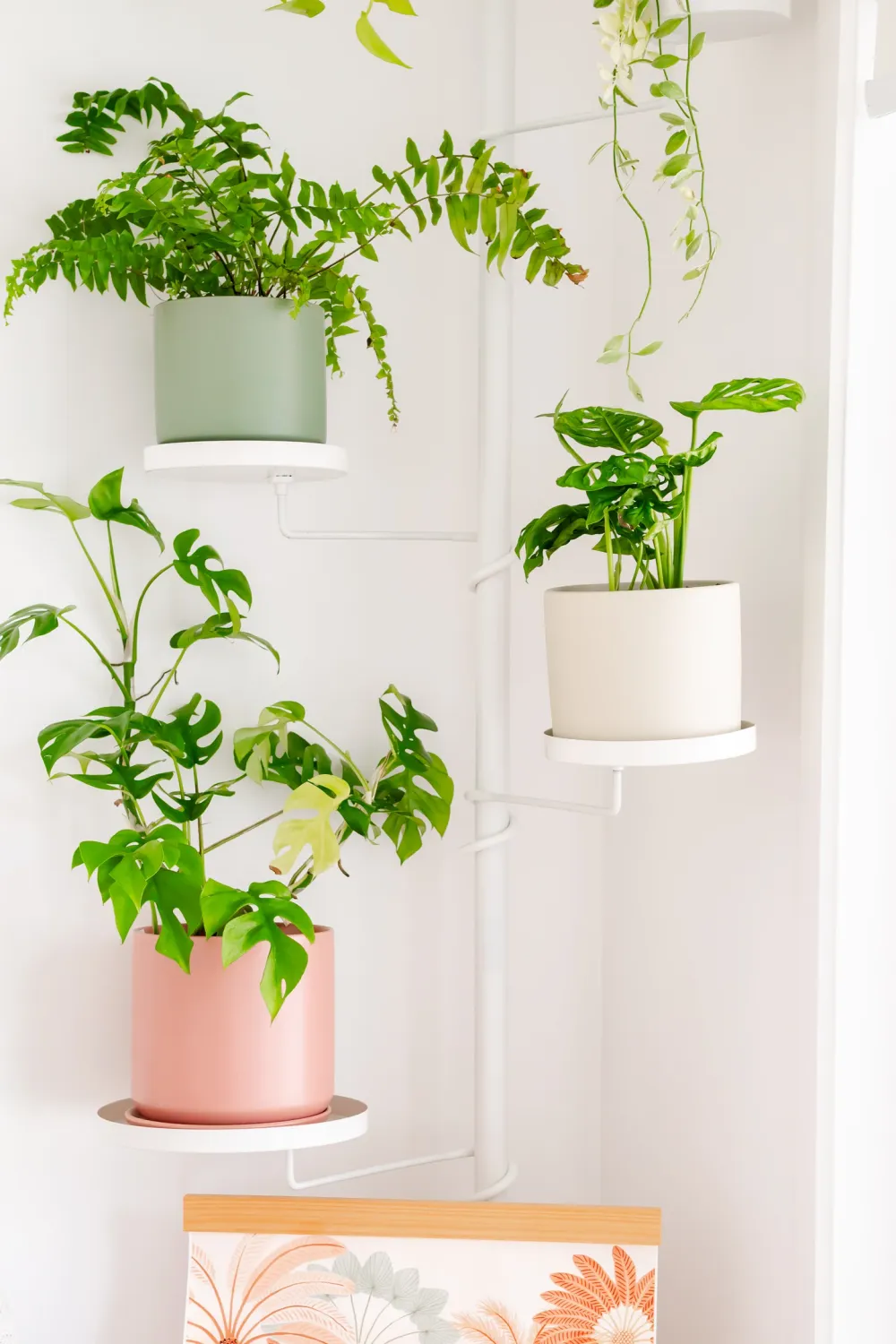 Tension Plant Pole with Trays - White