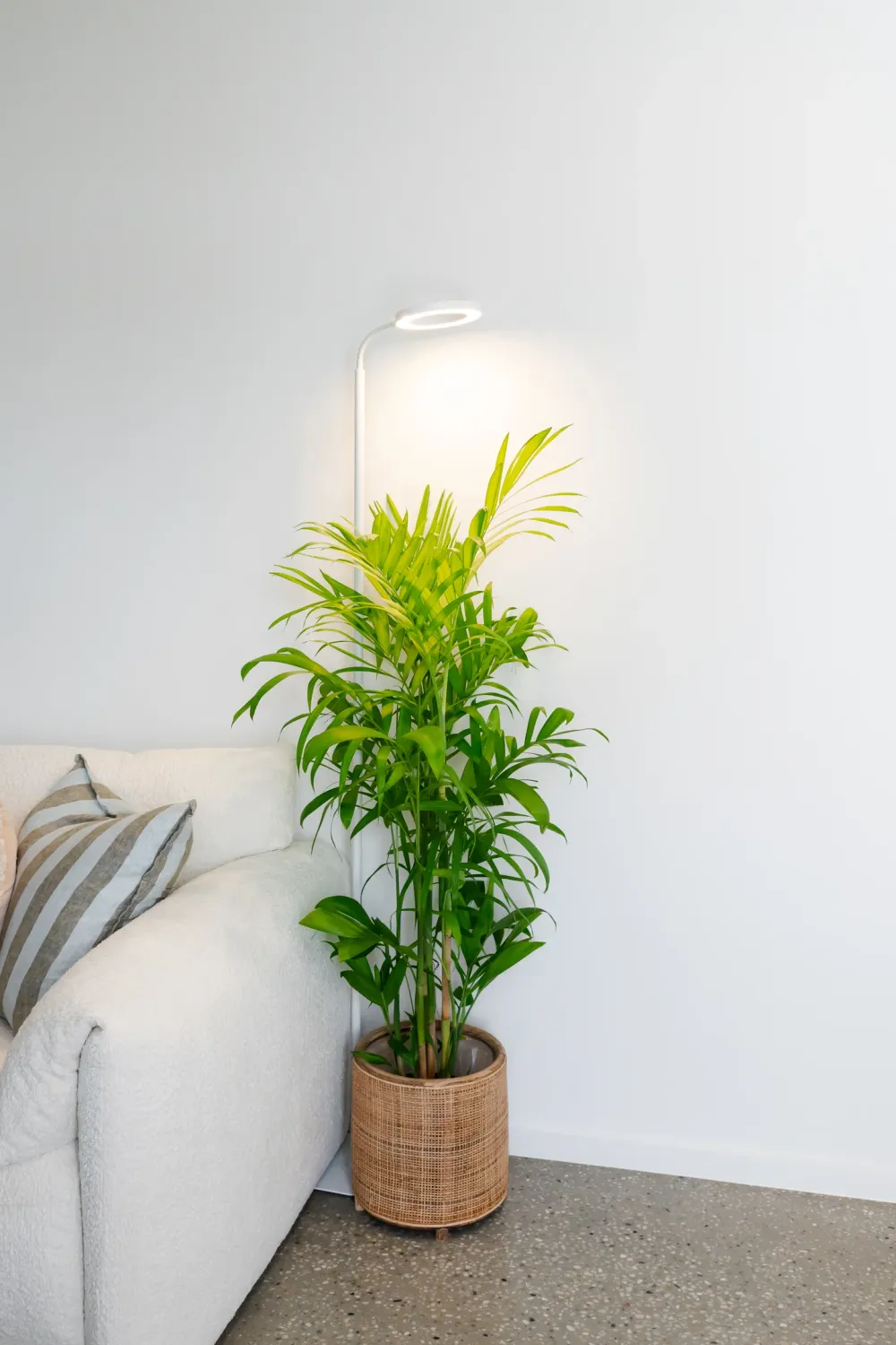 Indoor Grow Light Stand - White