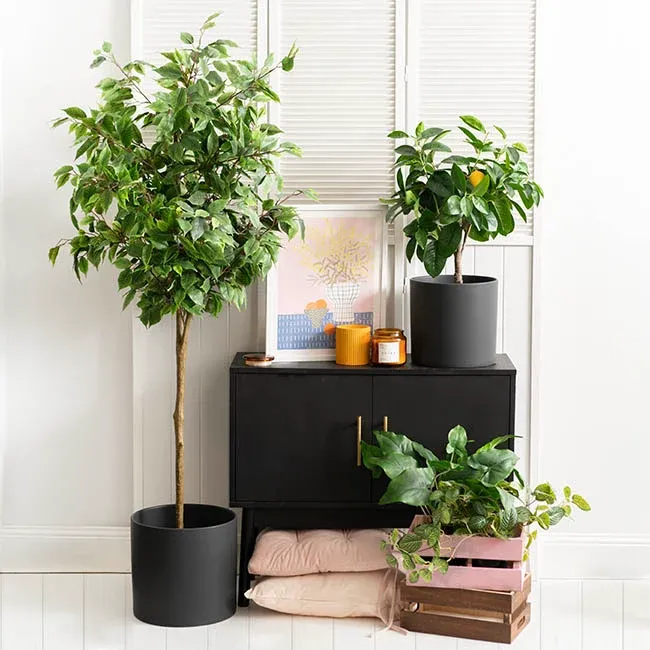 Ceramic Cylinder Pot Satin - Matte Black