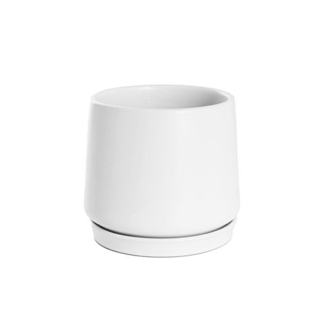 Loreto Belly Pot &amp; Plate - Matte White