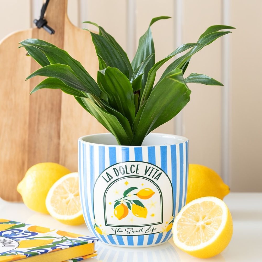 Blue Striped La Dolce Vita Ceramic Plant Pot