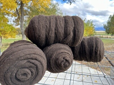 Homegrown Pure Rambouillet Wool Roving Natural Colored