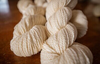 Range Camp - Montana Raised Pure Targhee DK Yarn