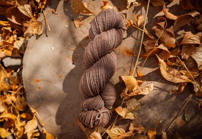 Homegrown Tobacco Root Valley Yarn ~ Cattail