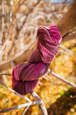 Range Camp Yarn ~ Grace