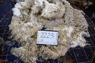 Targhee Rambouillet Raw Fleece #2223