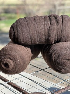 Homegrown Rambouillet Wool Brown Roving