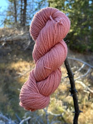 Homegrown Tobacco Root Valley Yarn ~ Prickly-Pear