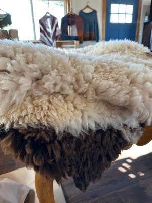 Sheep Hides