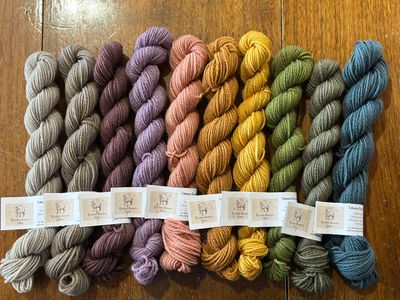 Tobacco Root Valley Mini Skeins ~ Glacier Lily Sampler Bundle