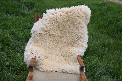 Medium Targhee Rambouillet Sheep Hide - White