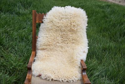 Small Targhee Rambouillet Sheep Hide - White