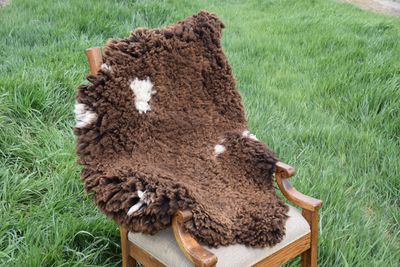 Large Targhee Rambouillet Sheep Hide - Brown