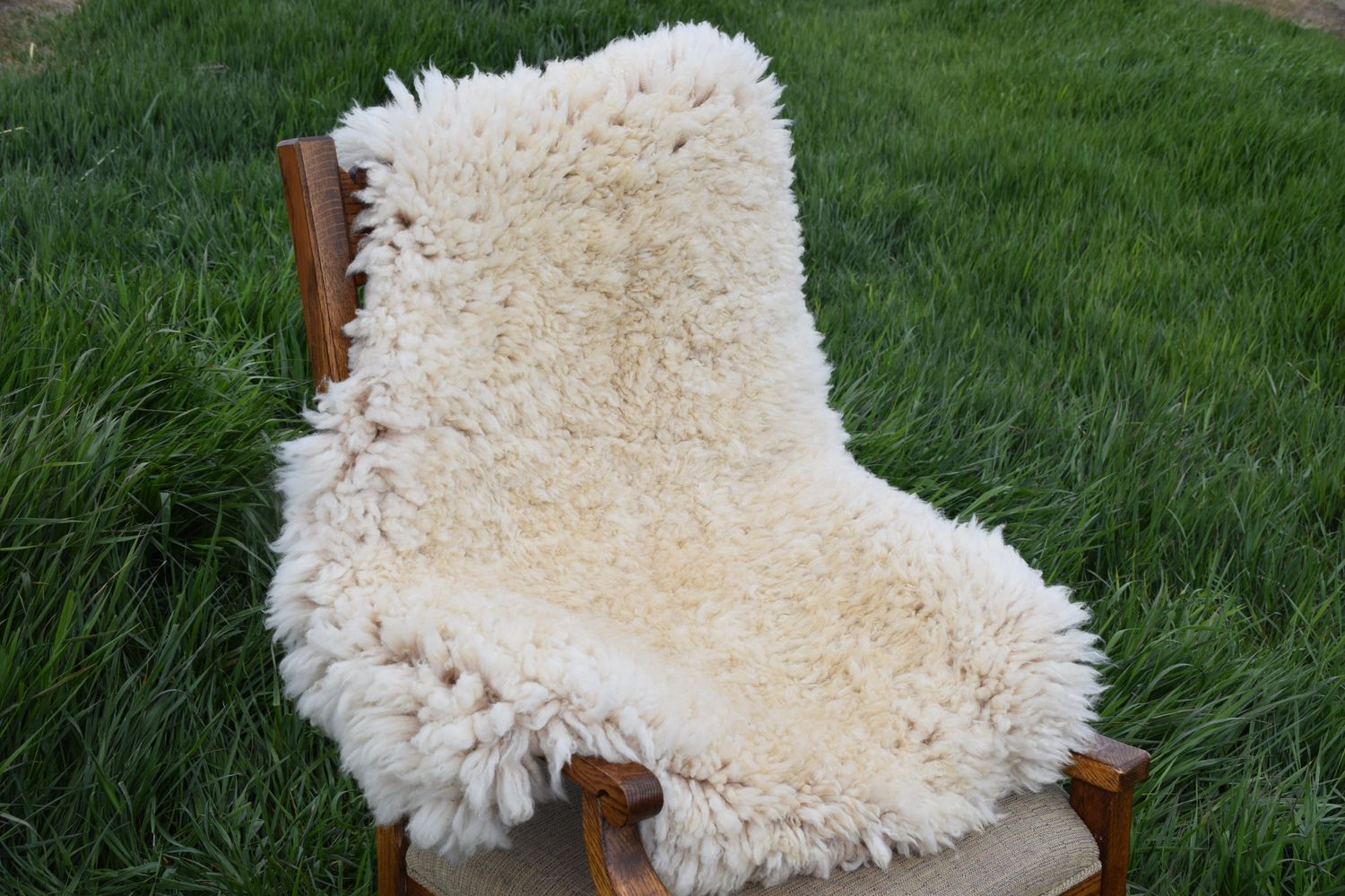 Medium Targhee Rambouillet Sheep Hide - White