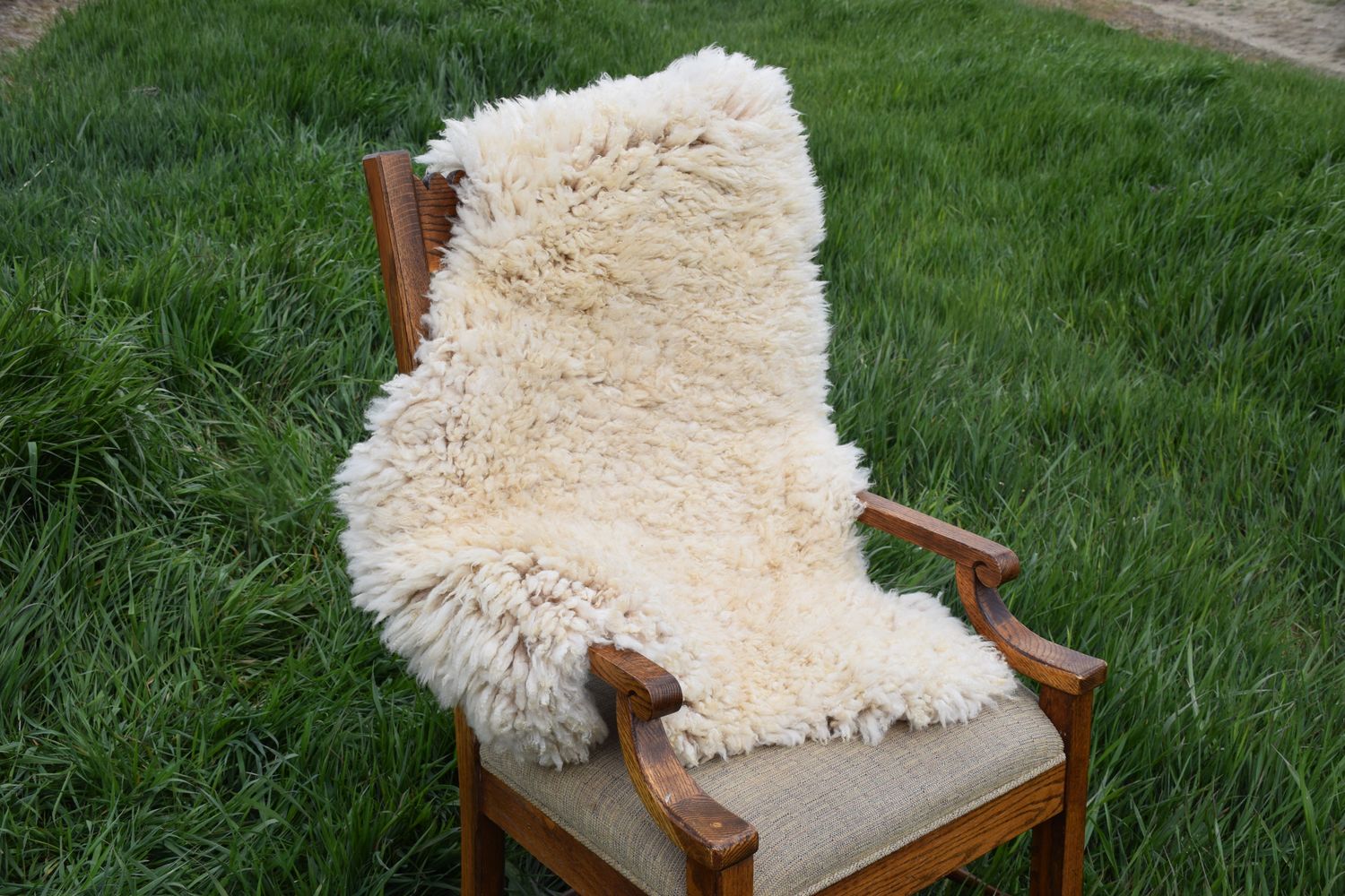 Medium Targhee Rambouillet Sheep Hide - White