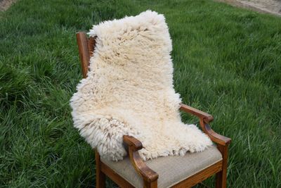 Medium Targhee Rambouillet Sheep Hide - White