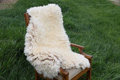 Large Targhee Rambouillet Sheep Hide - White