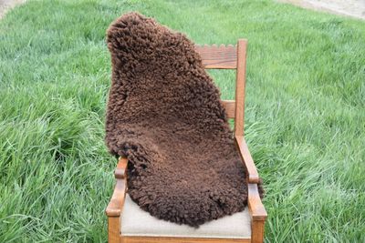 Small Targhee Rambouillet Sheep Hide - Grey with Brown Tips