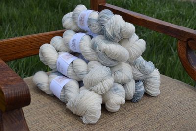 Range Camp - Montana Raised Pure Targhee Fingering Yarn ~ Limited Edition