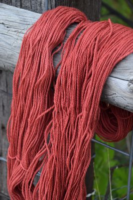 Homegrown Tobacco Root Valley Yarn ~ Bearberry
