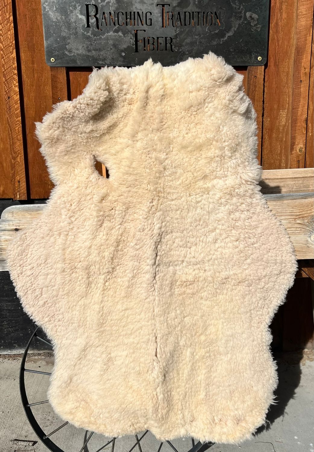 Targhee Rambouillet Sheep Hide - White