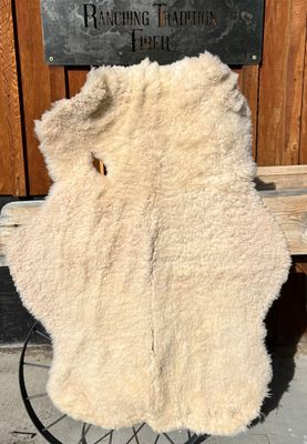 Targhee Rambouillet Sheep Hide - White