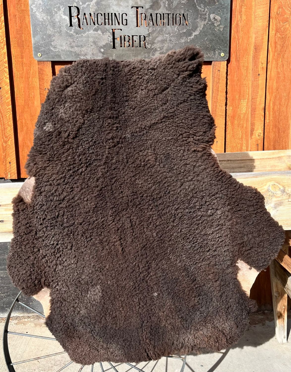 Targhee Rambouillet Sheep Hide - Black