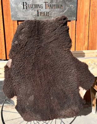 Targhee Rambouillet Sheep Hide - Black