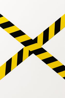 COLECCIÓN DE INSECTOS