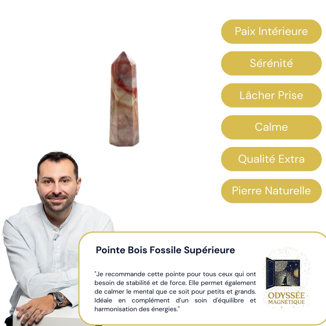 Pointe Bois Fossile Supérieure