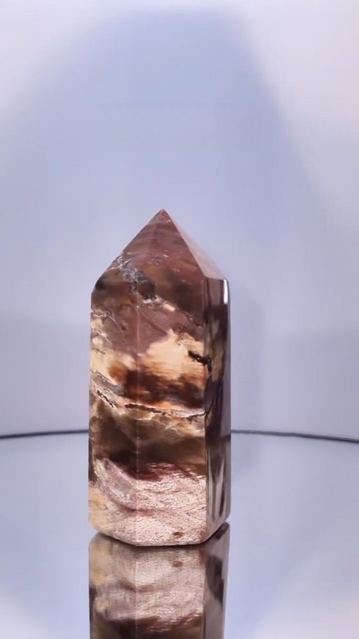 Pointe Bois Fossile Supérieure numéro 20