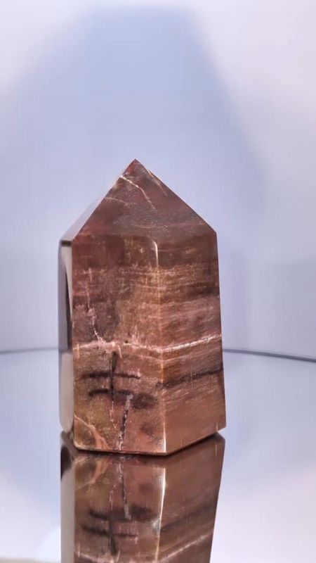 Pointe Bois Fossile Supérieure numéro 23