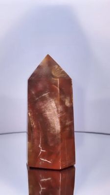 Pointe Bois Fossile Supérieure numéro 21