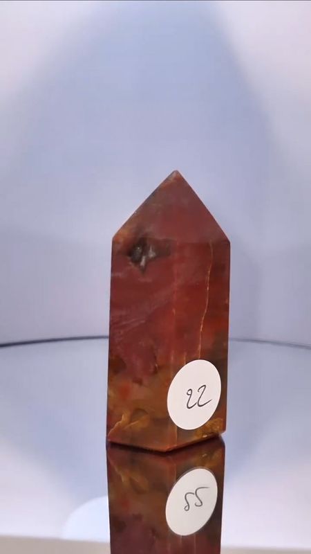 Pointe Bois Fossile Supérieure numéro 22