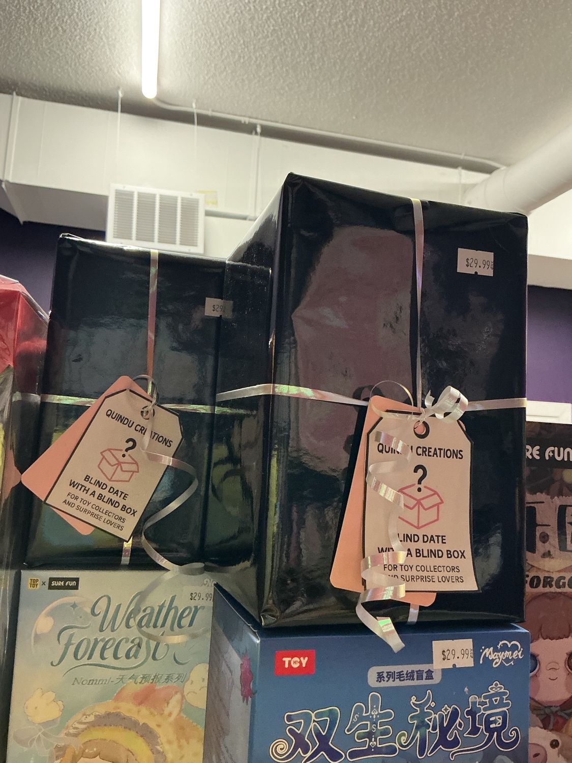 Blind Date with a Blind Box – Mystery Surprise Experience