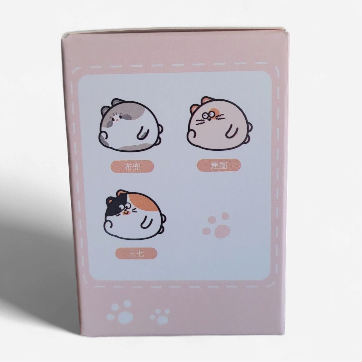 BAIMAO – Baby Cat Series Blind Box Figure