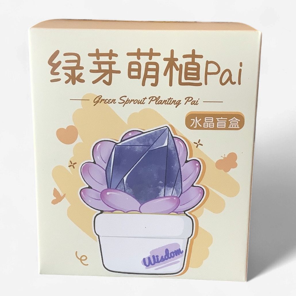 Green Sprout Planting Pai Mystery Box