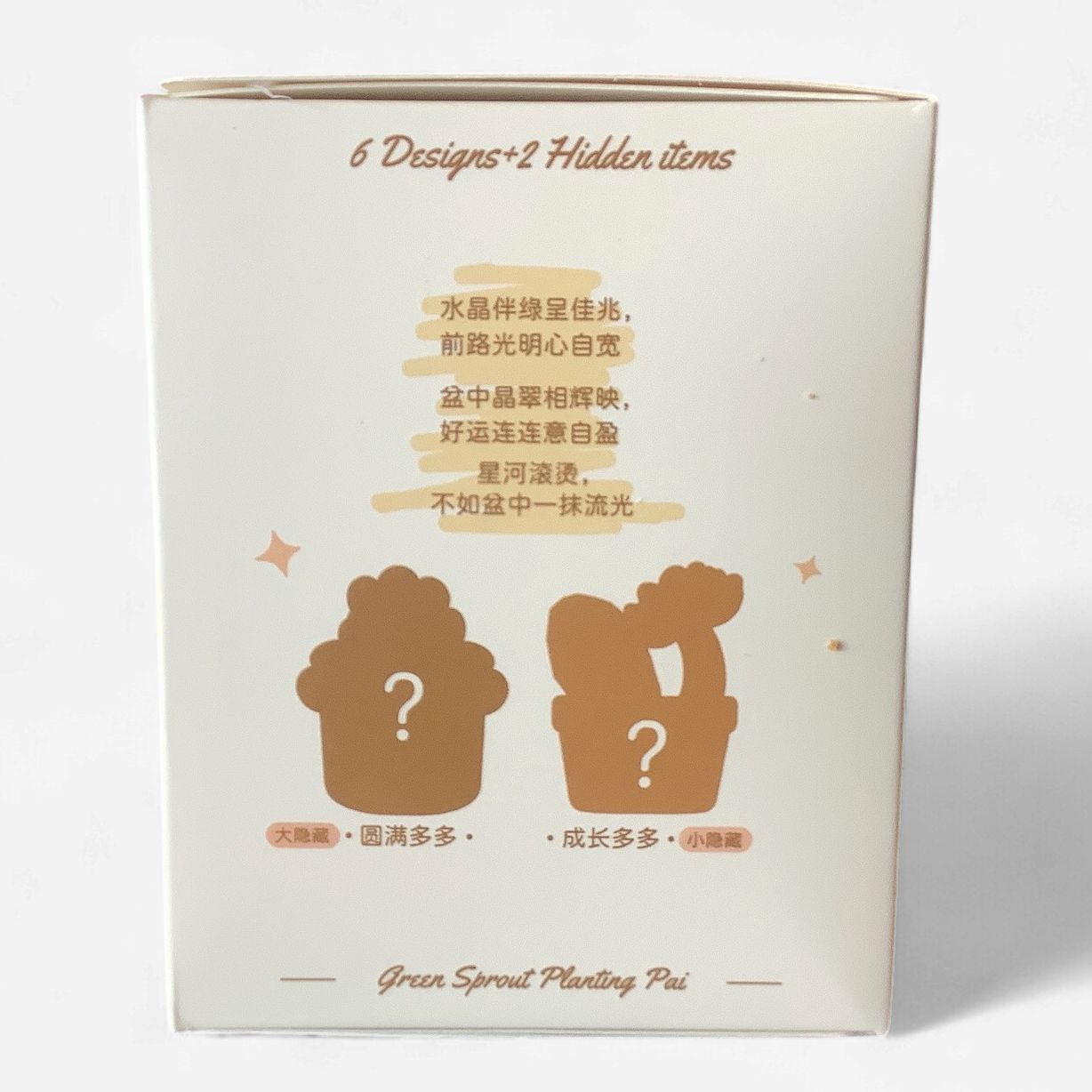 Green Sprout Planting Pai Mystery Box