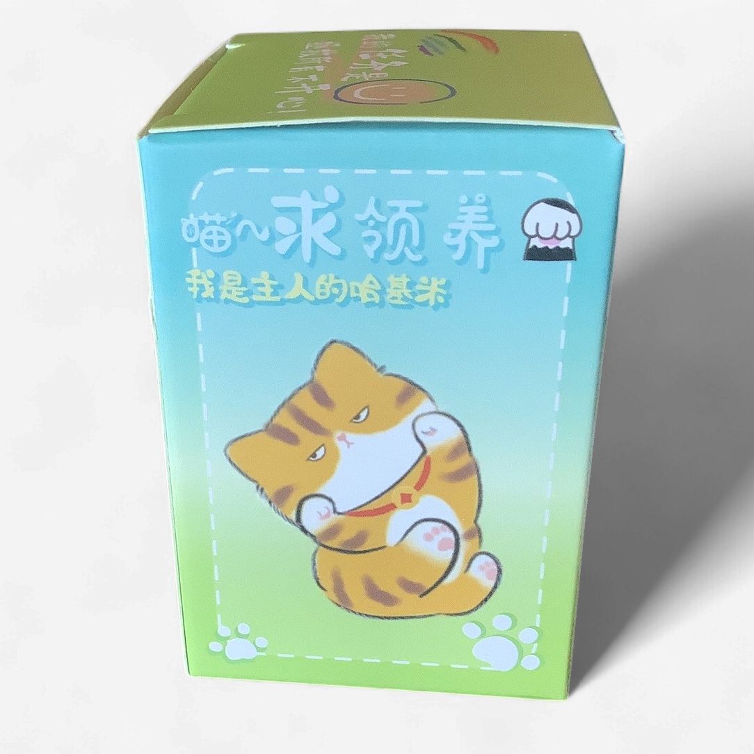 BAIMAO Relax Cat Camping Blind Box Figure