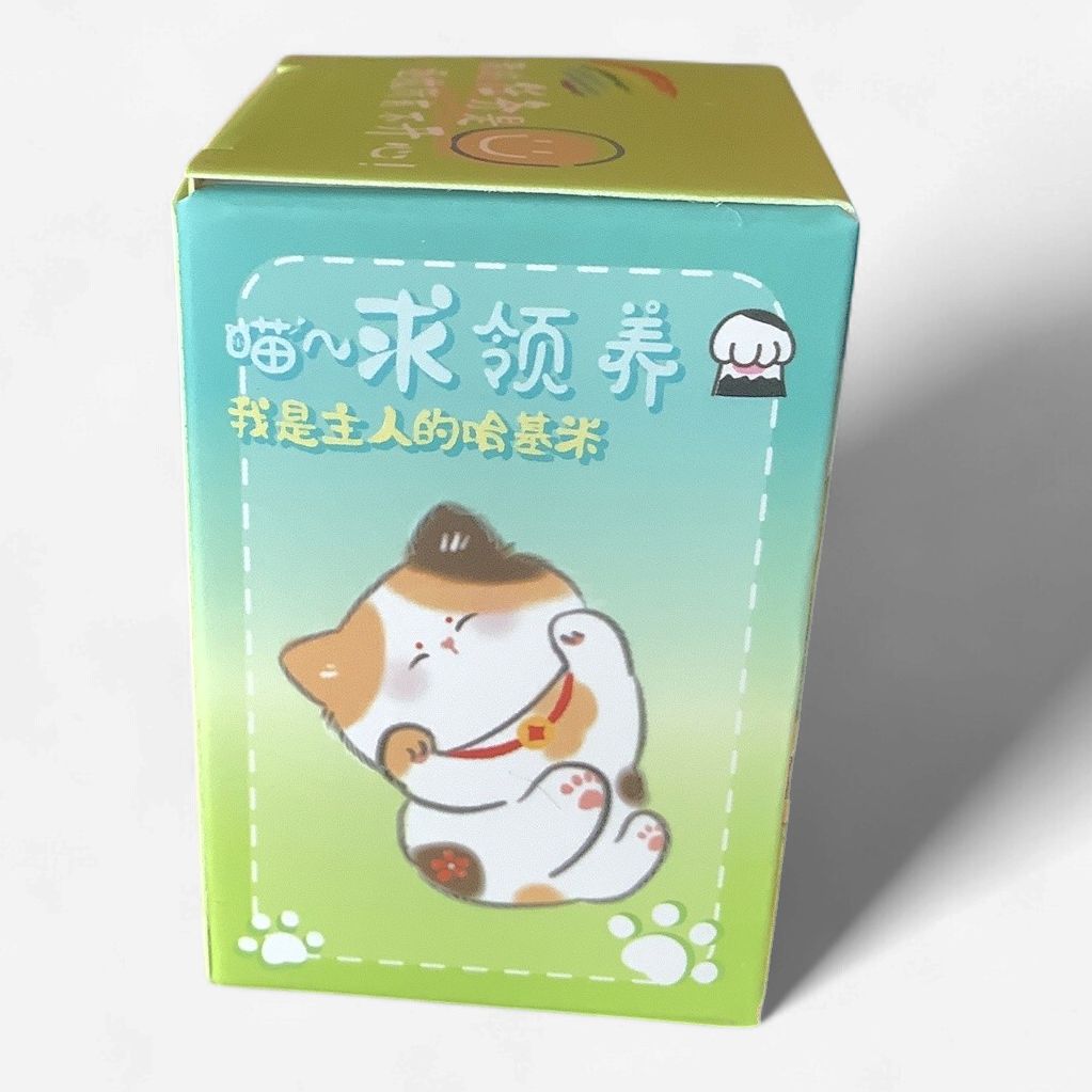 BAIMAO Relax Cat Camping Blind Box Figure