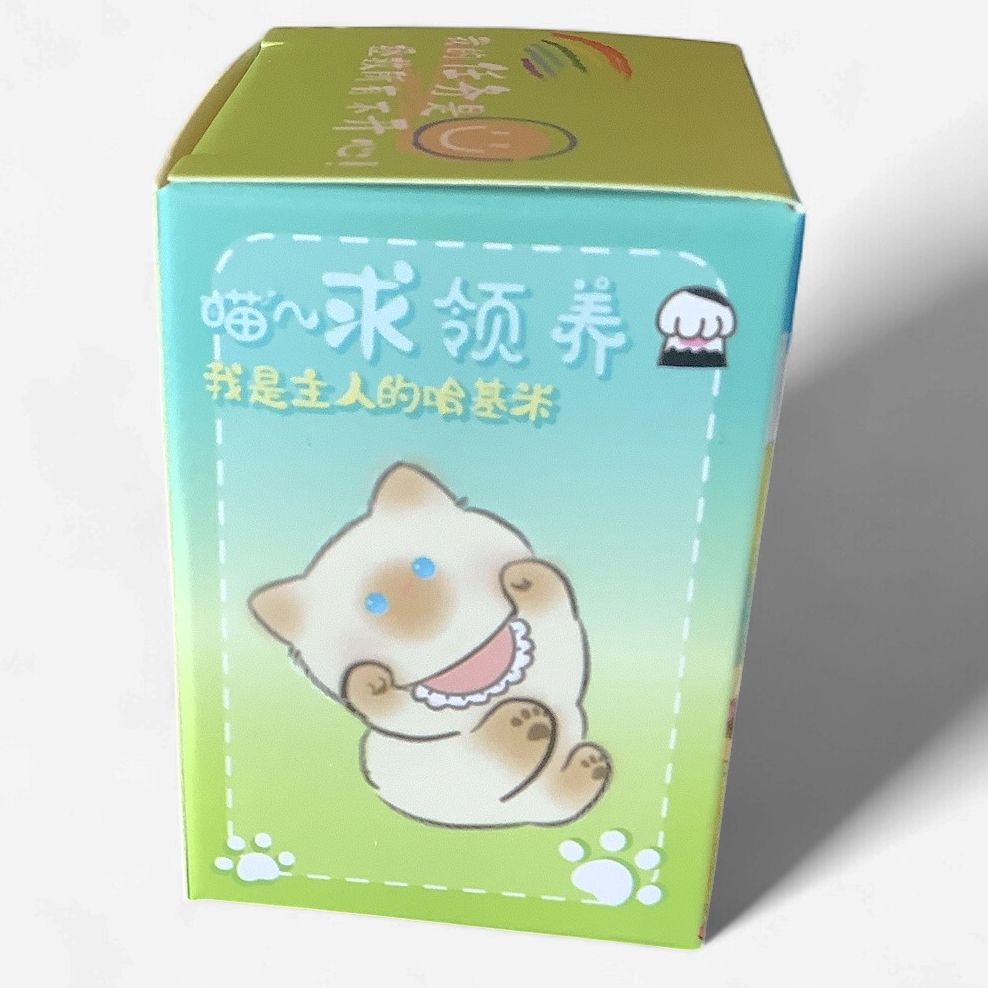 BAIMAO Relax Cat Camping Blind Box Figure
