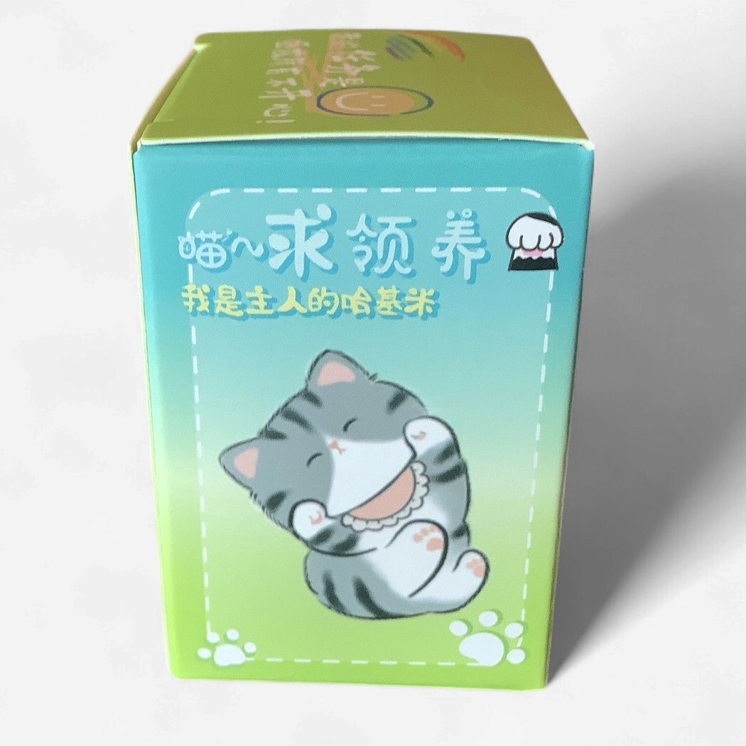 BAIMAO Relax Cat Camping Blind Box Figure