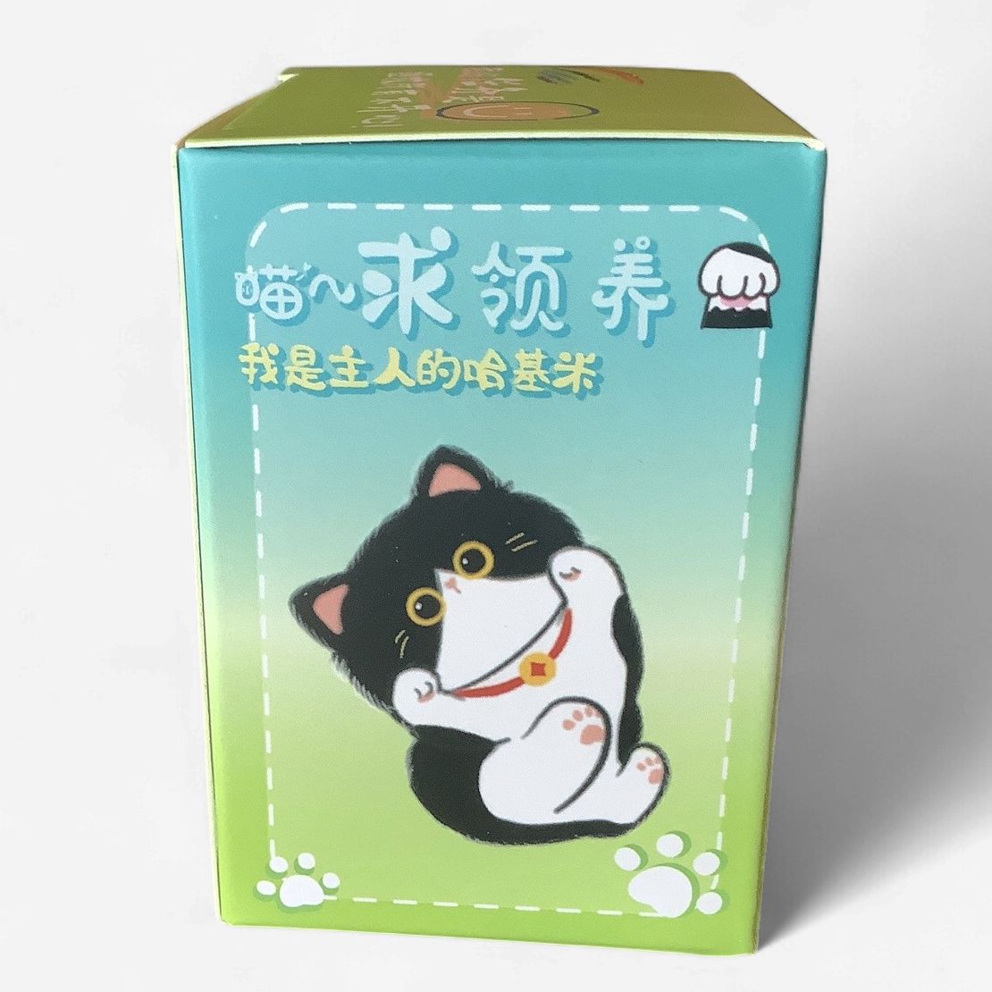 BAIMAO Relax Cat Camping Blind Box Figure