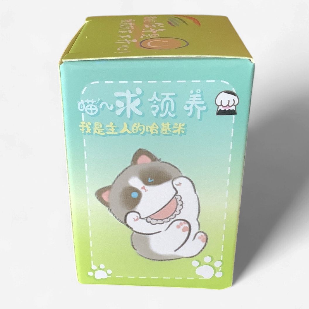 BAIMAO Relax Cat Camping Blind Box Figure