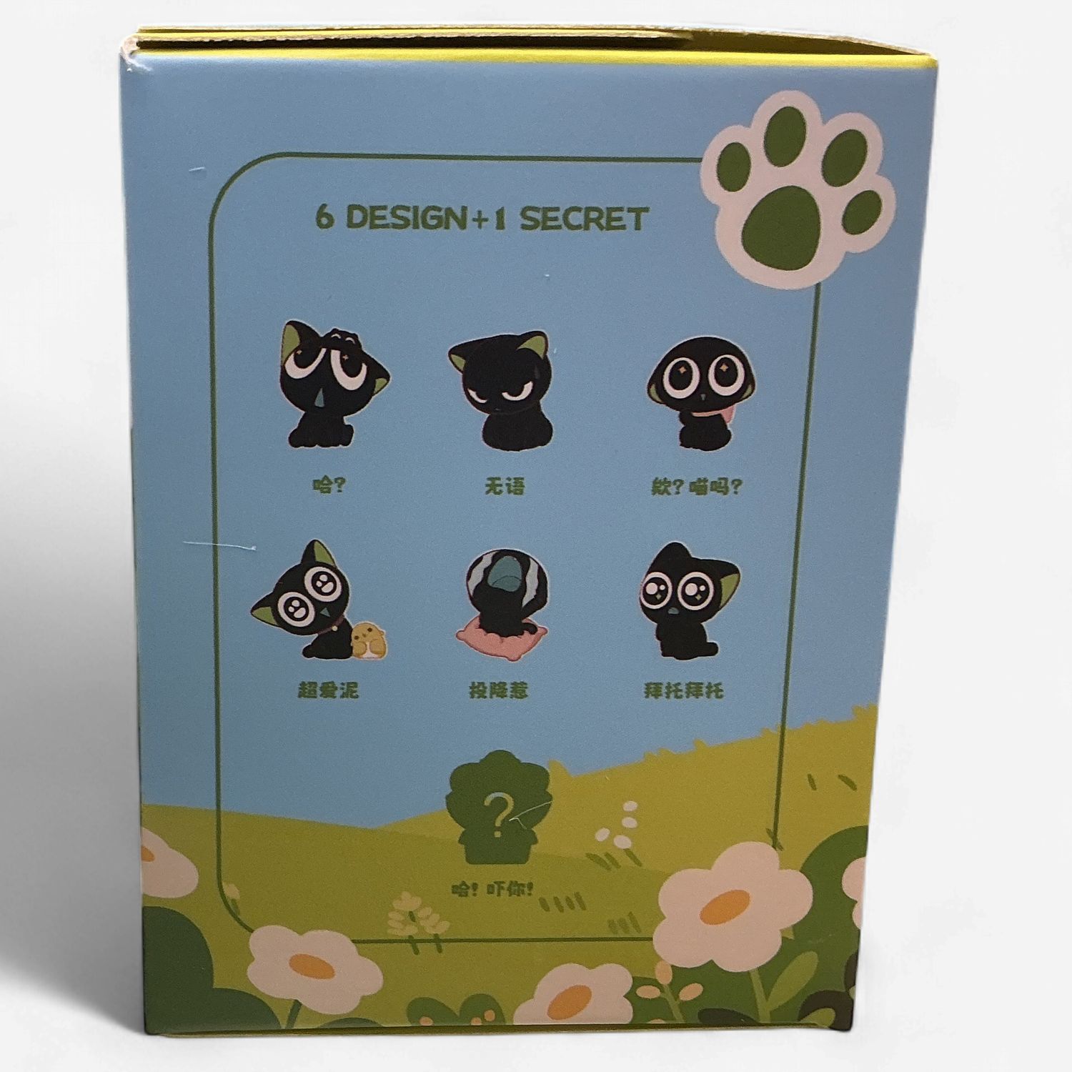 Little Black Adventure Cat Blind Box Figure